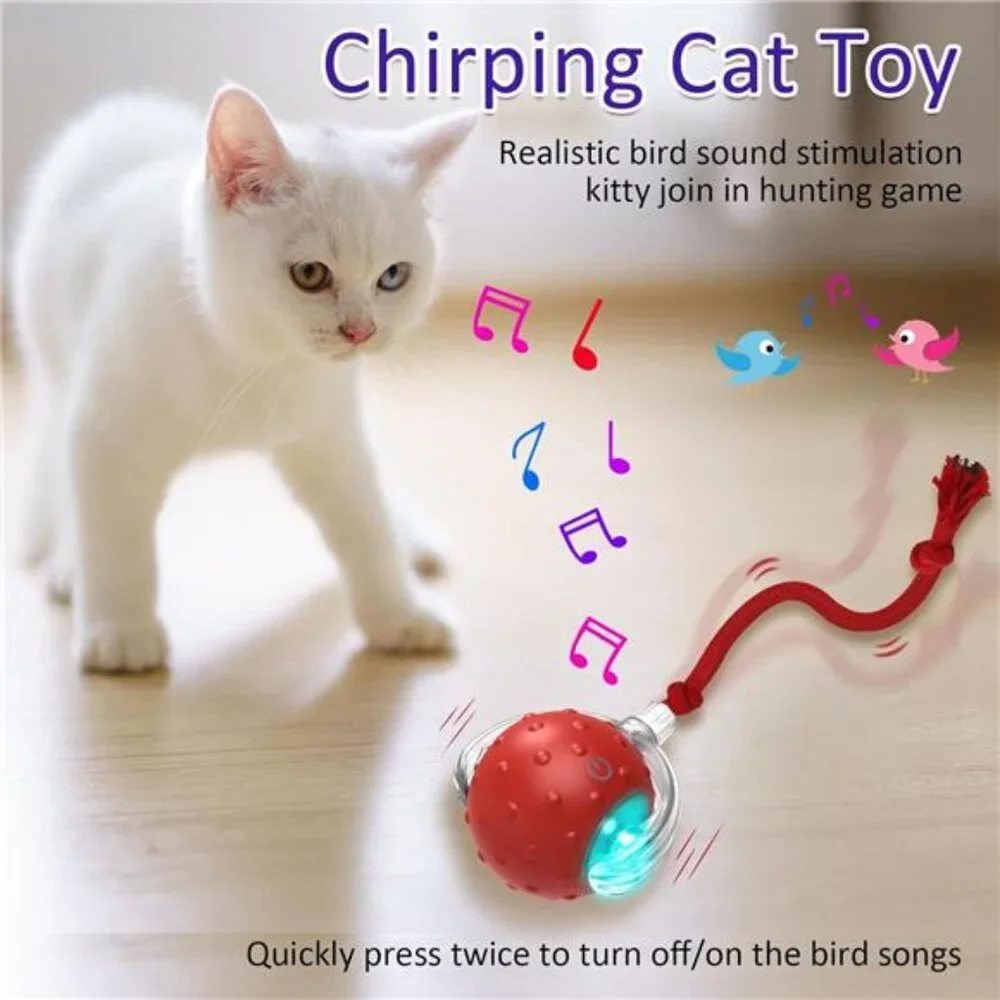 Interactive Cat Toys Ball Fast Rolling on Carpet Chirping & Motion Activated